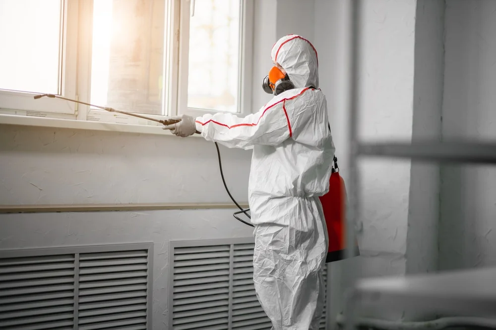 Professional mold remediation services in New Britain, CT